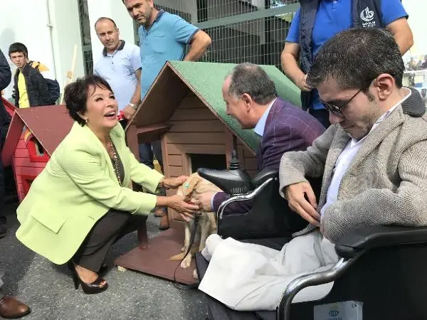 Hülya Koçyiğit Sokak Hayvanları İçin Kulübe Tasarladı Hülya Koçyiğit Sokak Hayvanları İçin Kulübe Tasarladı