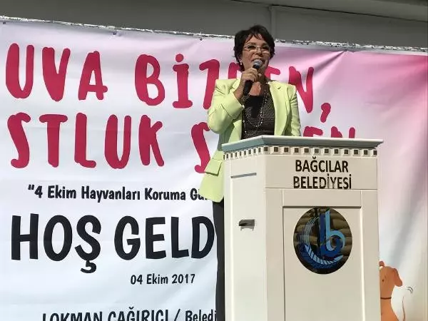 Hülya Koçyiğit Sokak Hayvanları İçin Kulübe Tasarladı Hülya Koçyiğit Sokak Hayvanları İçin Kulübe Tasarladı