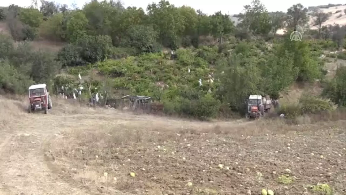 Mahallelinin 'Tatlı' Dayanışması