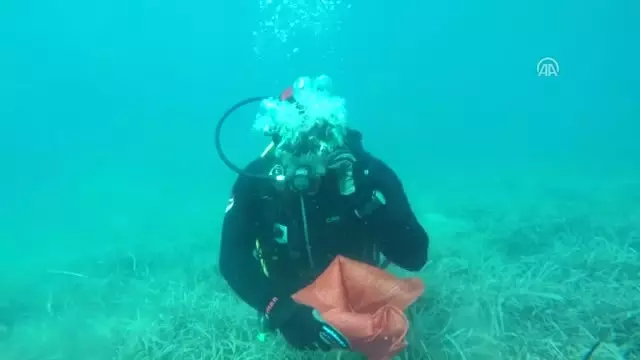 Bodrum'da Deniz Dibi Temizliği