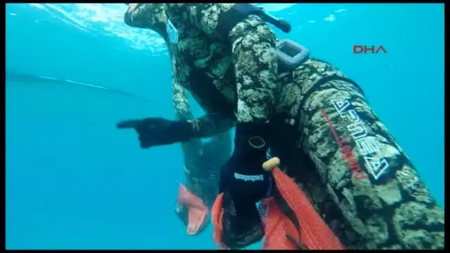 Bodrum Gökova Pırıl Pırıl Oldu