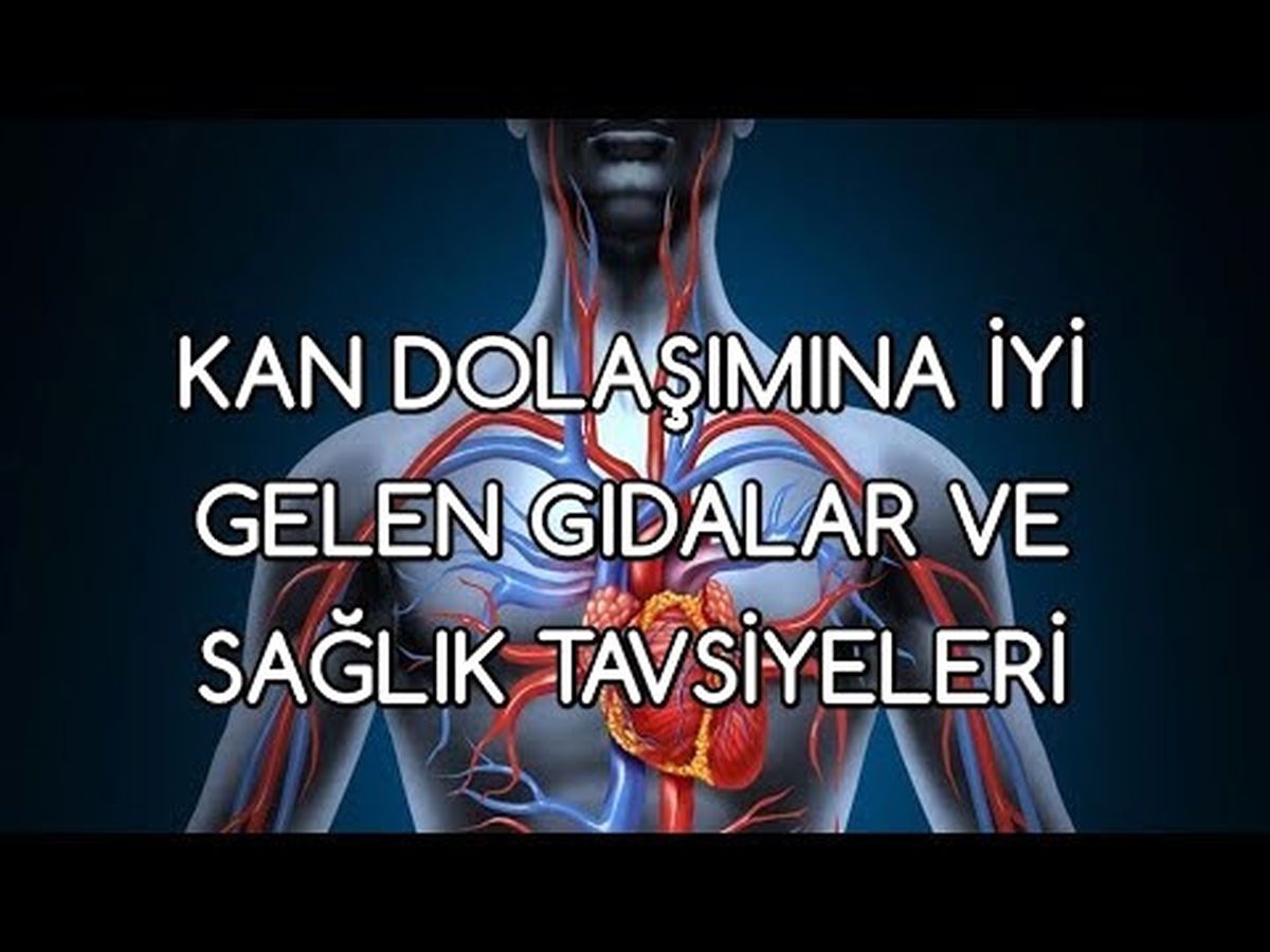 Kan Dolaşımına İyi Gelen Gıdalar ve Sağlık Tavsiyeleri
