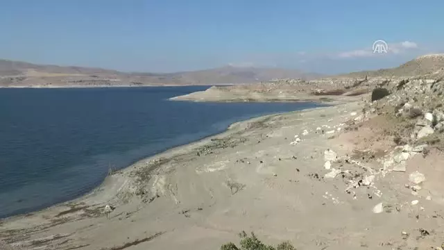 Kayserili Keçi Çobanı 6 Milyon Yıllık Fosil Buldu