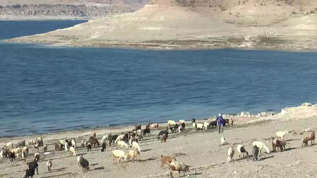 Kayserili Keçi Çobanı 6 Milyon Yıllık Fosil Buldu