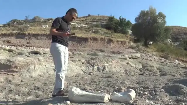 Kayserili Keçi Çobanı 6 Milyon Yıllık Fosil Buldu