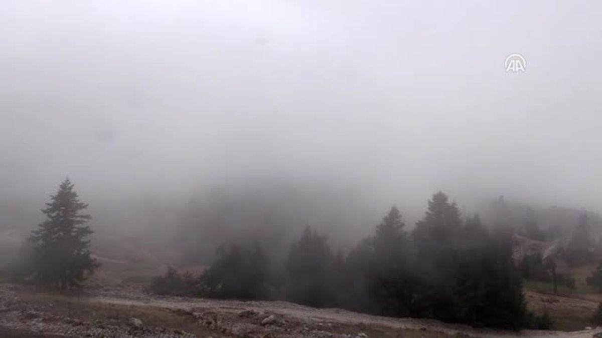 Kütahya ve Bilecik'teki Yangının Yaraları Sarılacak