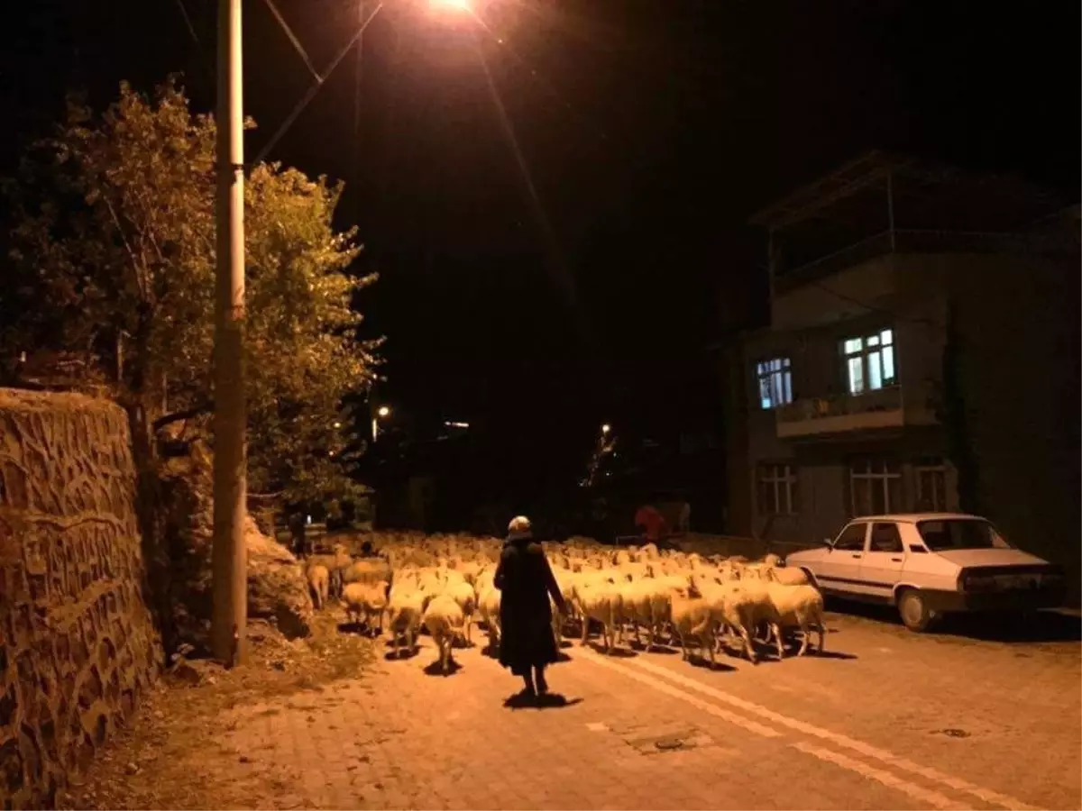 Göçebeler Yaylalardan Dönmeye Başladı