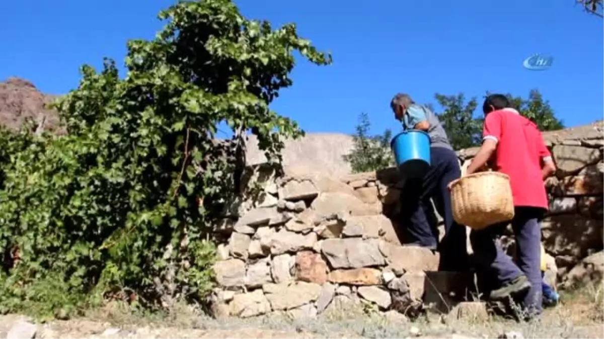 Hevenk Ettikleri Meyveleri Kışın Tüketiyorlar