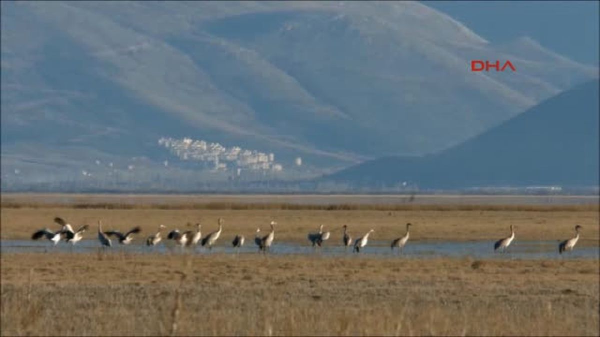 Kayseri Özel-Sultansazlığı Kuş Cenneti'ne 9 Milyon Metreküp Can Suyu