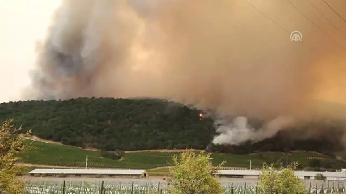 Kuzey Kaliforniya'daki Yangınlar Büyüyor