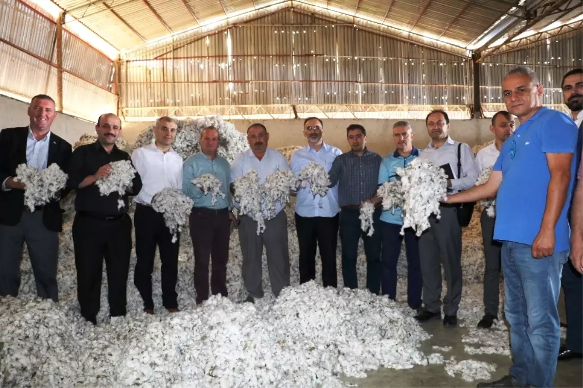 Pamuk, Antbirlik'te Masaya Yatırıldı