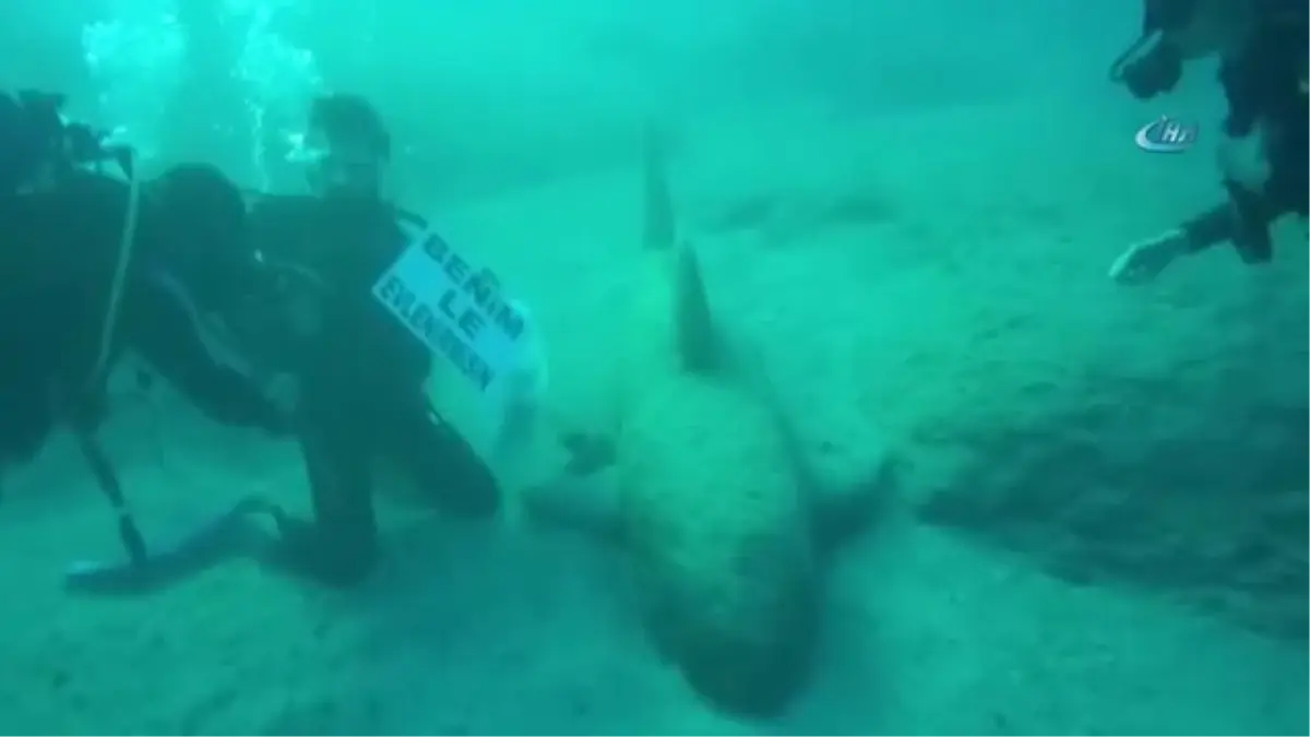 Deniz 20 Metre Altında Evlilik Teklifi