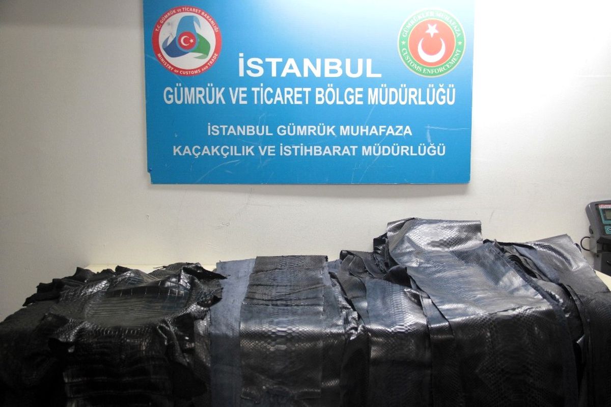 Atatürk Havalimanı'da Yılan ve Timsah Derisi Yakalandı