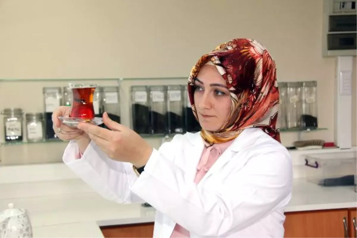 Çay Tadım Şampiyonu 'En İyi Çay Demleme' Tekniklerini Anlattı