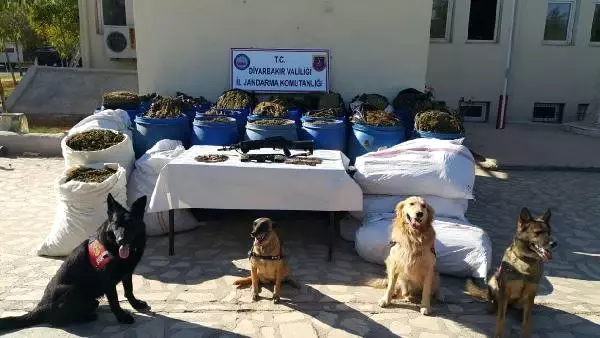 Diyarbakır'ın 4 İlçesinde Narko-terör Operasyonu