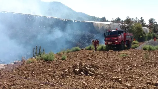 Bozyazı'da 4 Dönüm Muz Serası Yandı