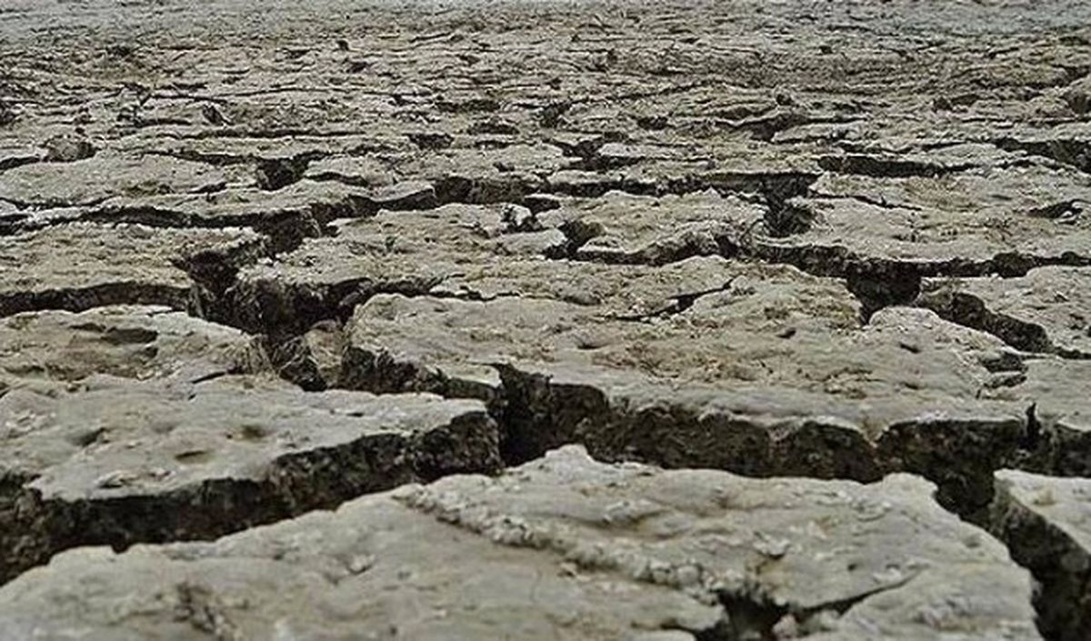 Uluslarası Kuraklık İttifakı' Kuruldu