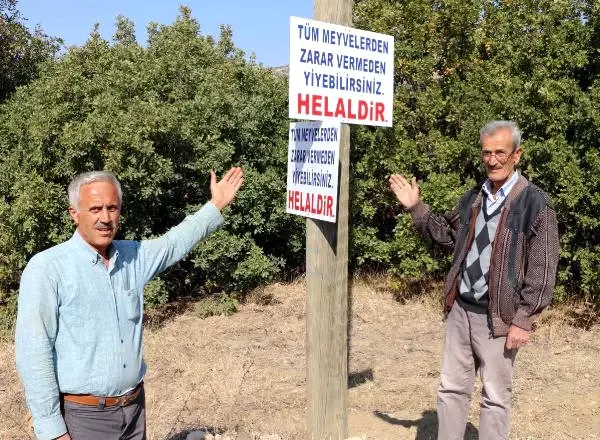 Bu Köyde Ağaçlardan Meyve Yemek Tek Şartla Helal