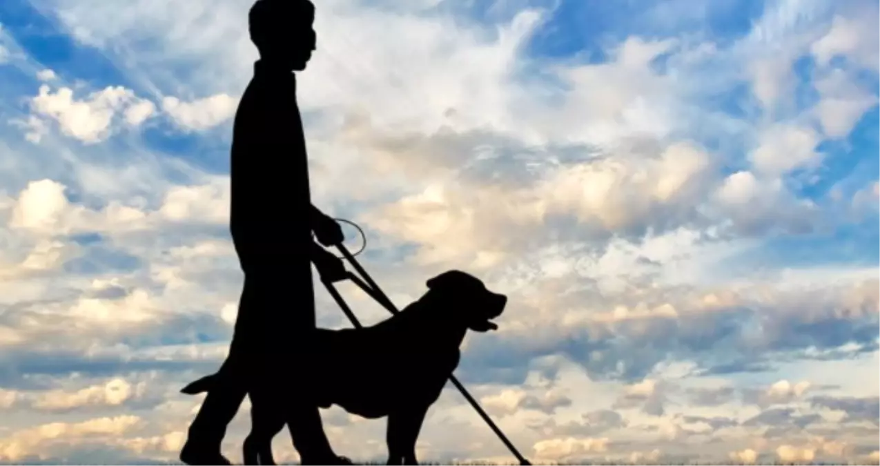 Görme Engelliler Neden Kansere Yakalanmıyor?