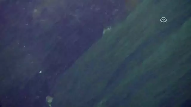 Sulama Kanalında Tabanca Bulundu Sulama Kanalında Tabanca Bulundu