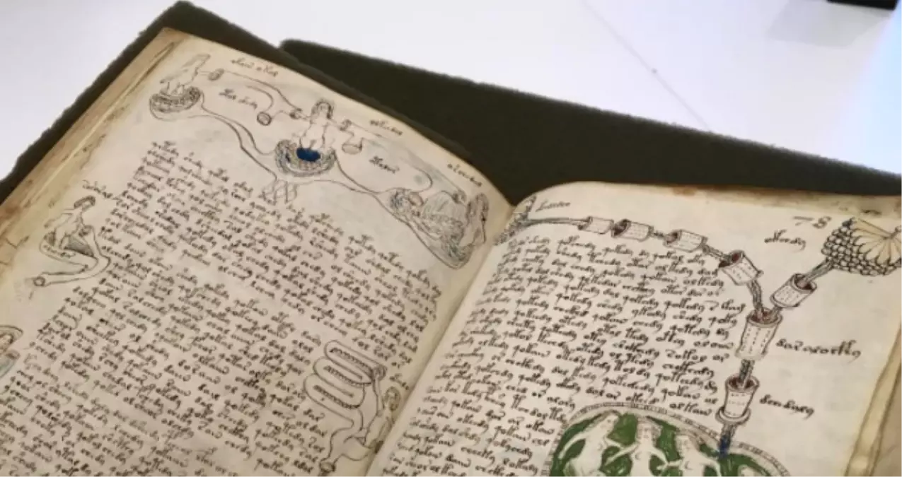 600 Yıllık Gizemli Voynich El Yazmalarının, Hangi Dilde Yazıldığı Çözülemiyor!