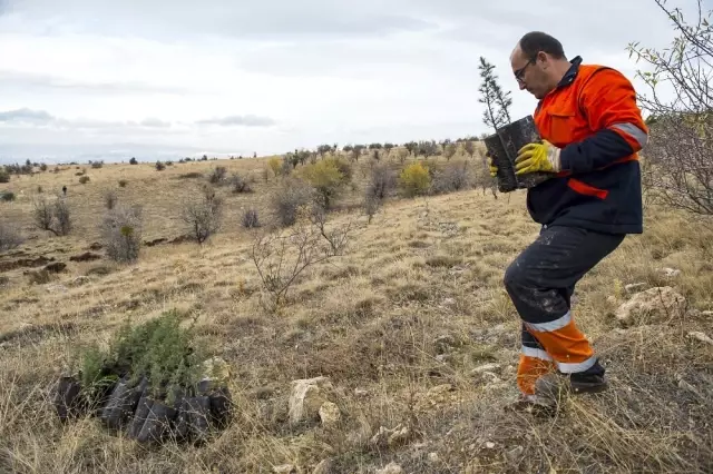 ODTÜ Yolu İçin Ağaçlandırma Çalışmaları Başladı