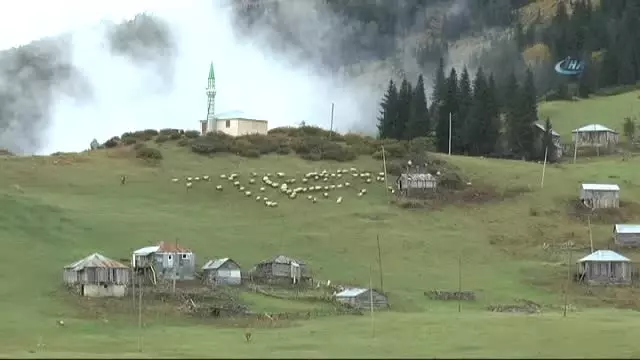 Giresun'dan Uzungöl'e Rakip Çıktı