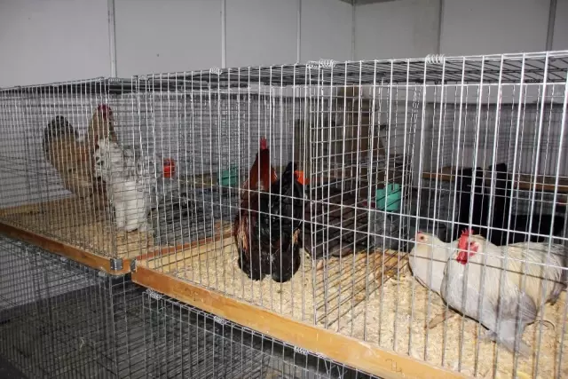 Hatay Tarım Fuarı Açıldı