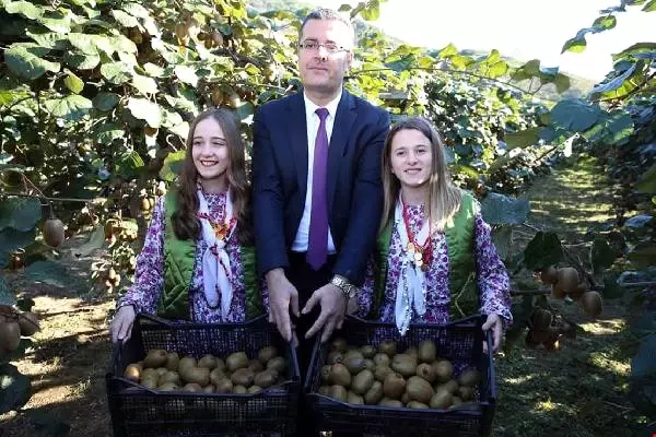 Ordu Kivisi' Marka Olacak