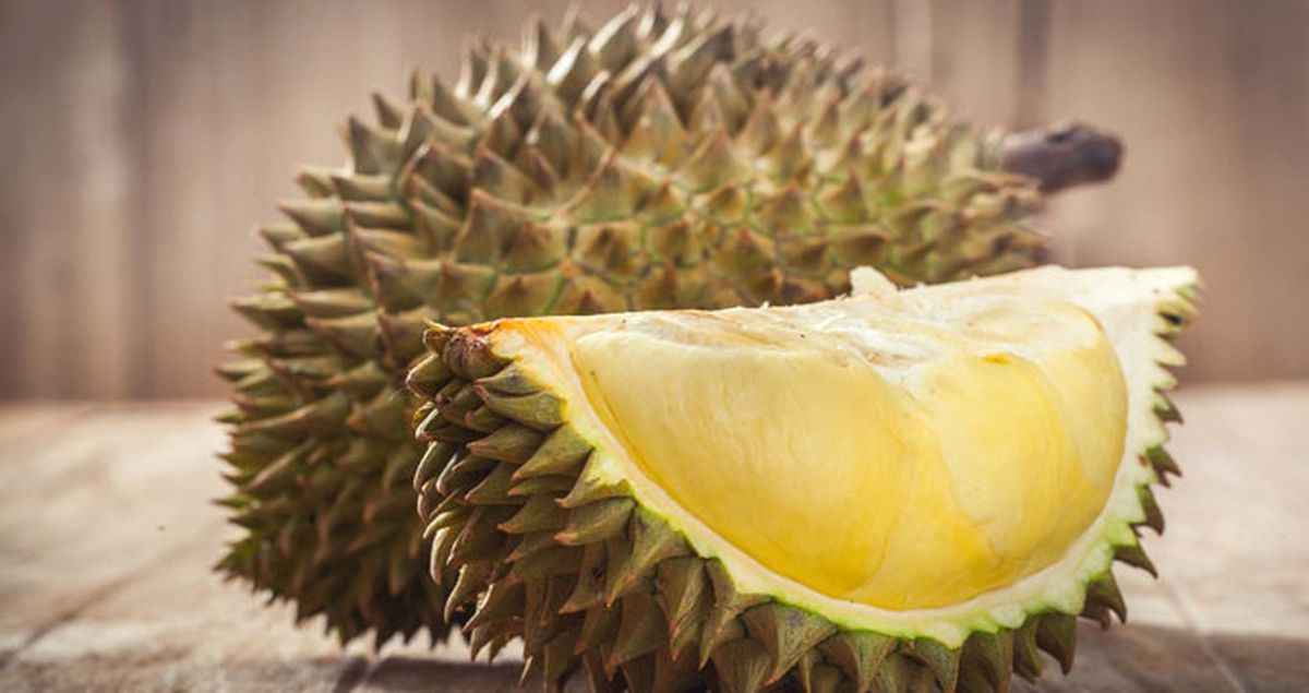Dayanılmaz Kokusu Yüzünden Pek Çok Yerde Yasaklanan İlginç Meyve Durian