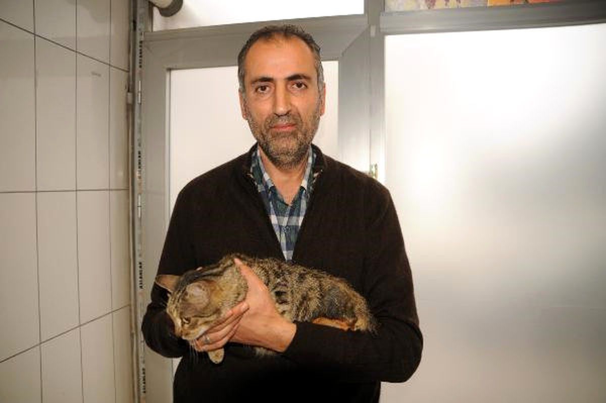 Bacağı Kopan Kediyi Tedavi Ettirip, Sahiplendi