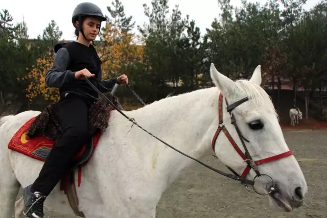 Amasya'da 'Dörtnala Eğitim' Amasya'da 'Dörtnala Eğitim'