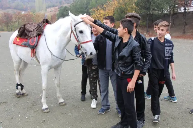 Amasya'da 'Dörtnala Eğitim' Amasya'da 'Dörtnala Eğitim'