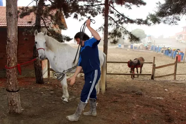 Amasya'da 'Dörtnala Eğitim' Amasya'da 'Dörtnala Eğitim'