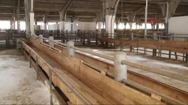 İzmir Atıl Durumdaki Entegre Tesisi, 10 Milyonluk Yatırımla Dülger Markasıyla Tekrar Ayağa Kalktı İzmir Atıl Durumdaki Entegre Tesisi, 10 Milyonluk Yatırımla Dülger Markasıyla Tekrar Ayağa Kalktı
