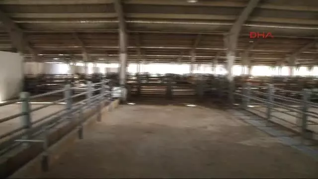 İzmir Atıl Durumdaki Entegre Tesisi, 10 Milyonluk Yatırımla Dülger Markasıyla Tekrar Ayağa Kalktı İzmir Atıl Durumdaki Entegre Tesisi, 10 Milyonluk Yatırımla Dülger Markasıyla Tekrar Ayağa Kalktı