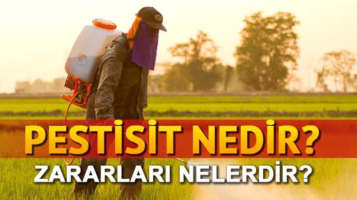 Pestisitin insan sağlığına zararları nelerdir? Pestisit nedir?