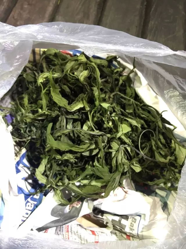 Karamürsel'de 7 Torbacı ve 8 Kullanıcı Yakalandı