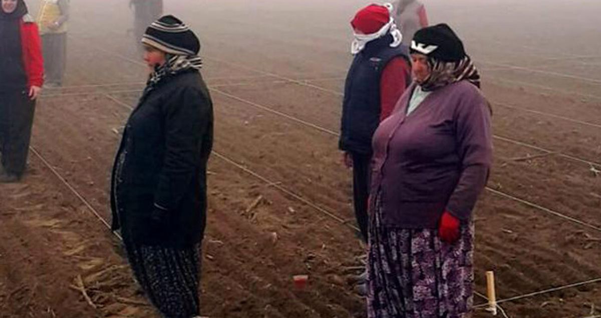 Tarlada Çalışan Kadın İşçilerden Atatürk'e Saygı Duruşu