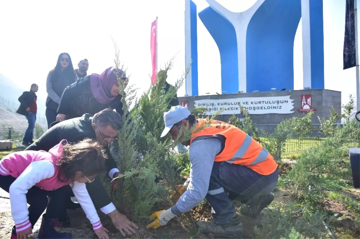 11.11.2017 Günü Saat 11: 11'de 11 Bin 11 Adet Ardıç Fidanı Dikildi