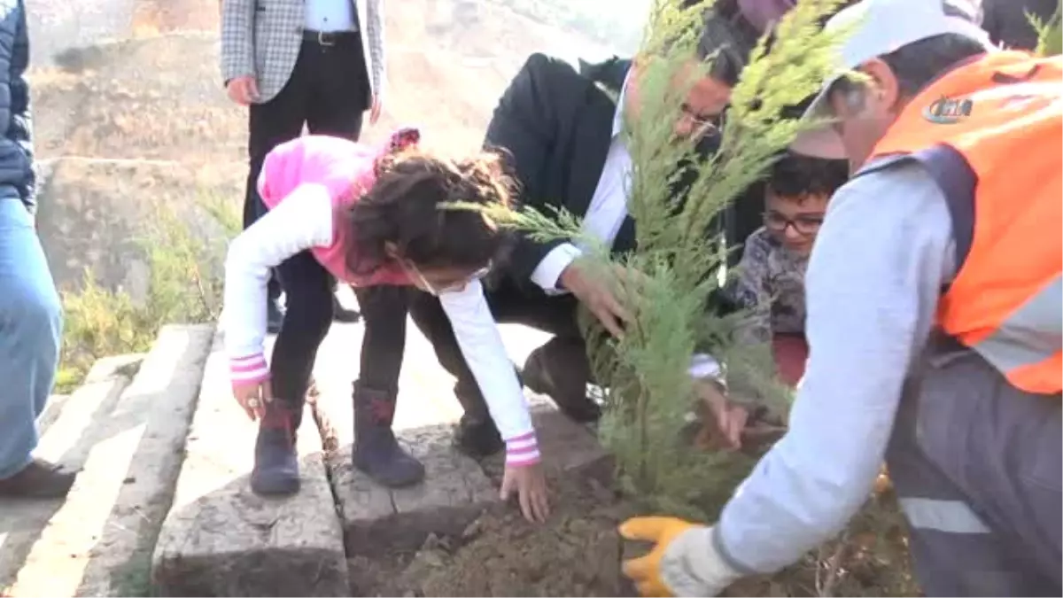 11.11.2017 Günü Saat 11: 11'de 11 Bin 11 Adet Ardıç Fidanı Dikildi