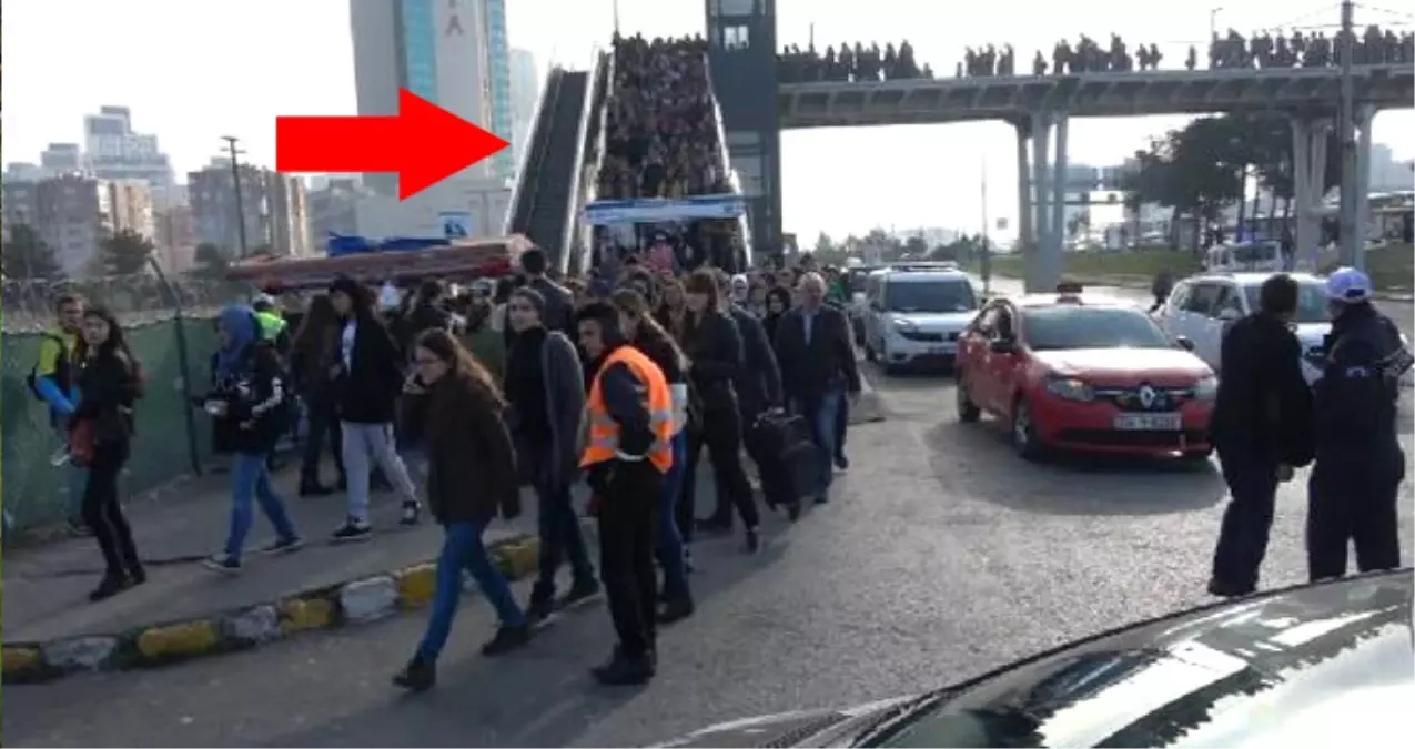 Cem Yılmaz'ı Duyan İstanbullular, Akın Akın TÜYAP Kitap Fuarına Gitti!