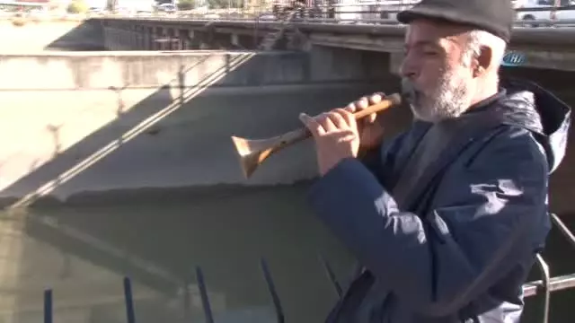 Nehre Gelen Su Kesilince Binlerce Balık Telef Oldu, Vatandaşlar Oltayı Kapıp Geldi Nehre Gelen Su Kesilince Binlerce Balık Telef Oldu, Vatandaşlar Oltayı Kapıp Geldi