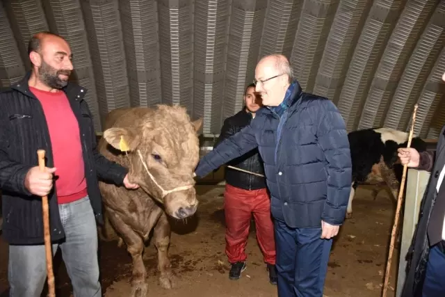 Başkan Kafaoğlu Hayvan Pazarını İnceledi