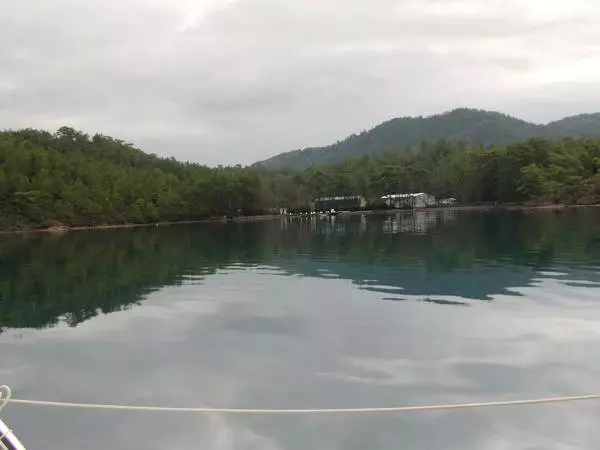Marmaris'te, Türkiye'de İlk Defa Deniz Çayırları Çiftliği Kuruldu