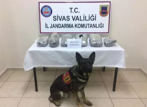 Sivas'ta Uyuşturucu Operasyonunda 4 Tutuklama