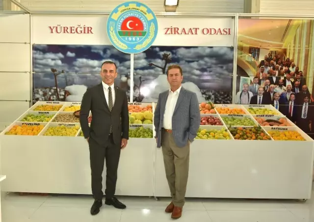 Yzo Başkanı Doğan: