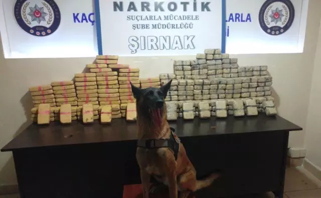 Cizre'de 120 Kilogram Eroin Ele Geçirildi
