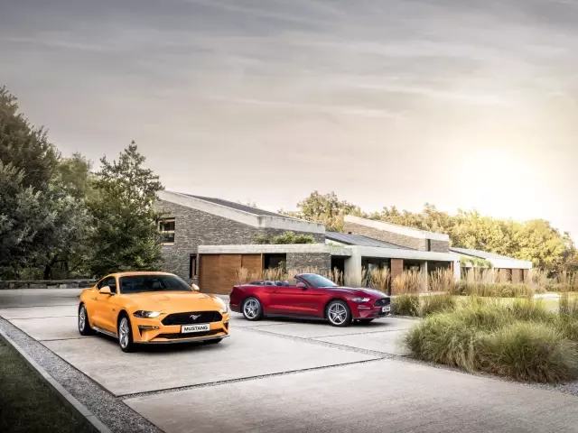 Ford'dan 'İyi Bir Komşu' Olmanın Yolları
