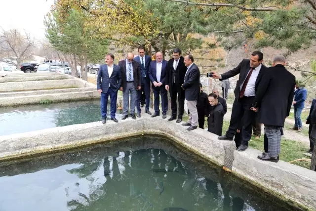 Gümüşhane'de Kırmızı Benekli Alabalık Üretimi Başladı